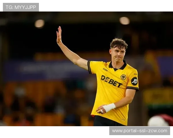 水晶宫4800万镑签狼队前锋拉尔森，创队史引援费纪录